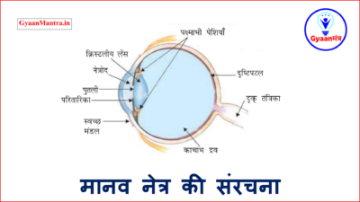 मानव नेत्र की संरचना